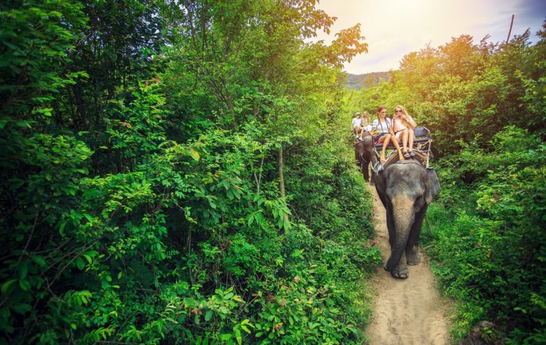 skupina turistov na slonoch